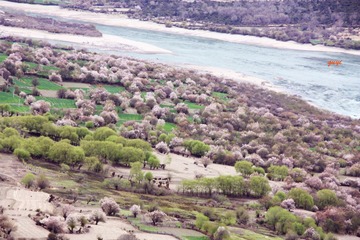 IMG_0665.jpg