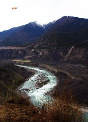 IMG_0698.jpg