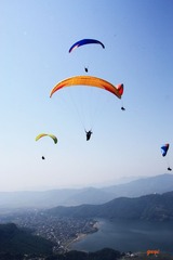 IMG_1887.jpg