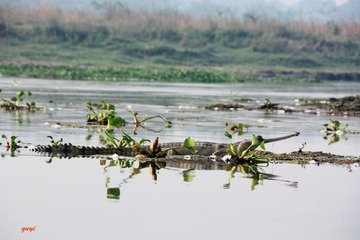 IMG_1543.jpg