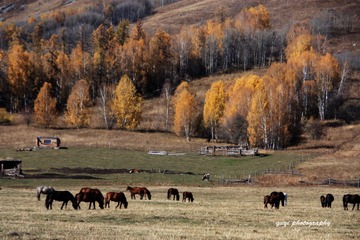 DPP_0690
