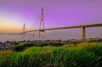 _DYX8298