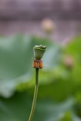 558344