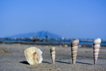 20121005-DSC_5123.jpg