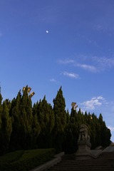 IMG_11445.jpg