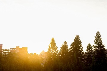 20130718-IMG_1456.jpg