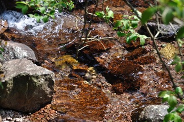 DSC_0014.JPG