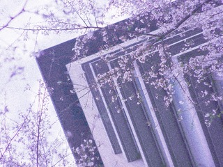 59D9643D-2545-448D-B4DE-03E47BEB2CE6/L0/001