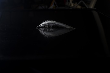 作品原图