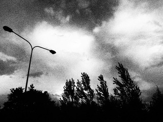 P1011733.jpg