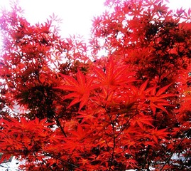 P1011496_副本.jpg