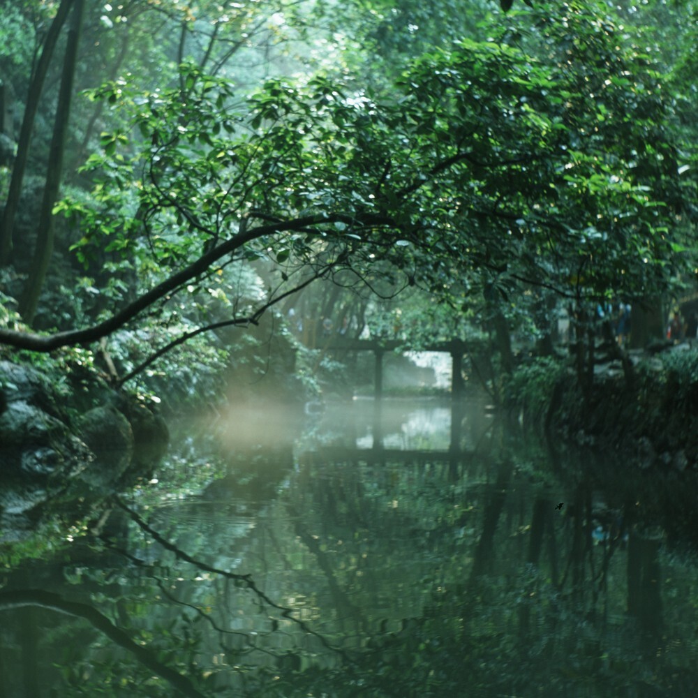 2015.8.29 灵隐
