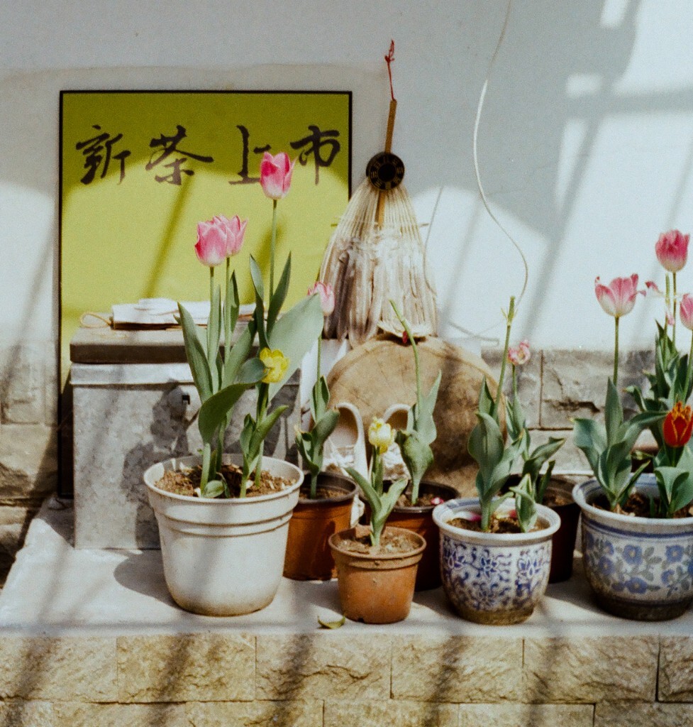 2016.3.27 下天竺