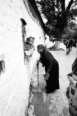 IMG_7270_2