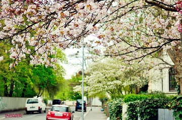 DSC_3112x.jpg