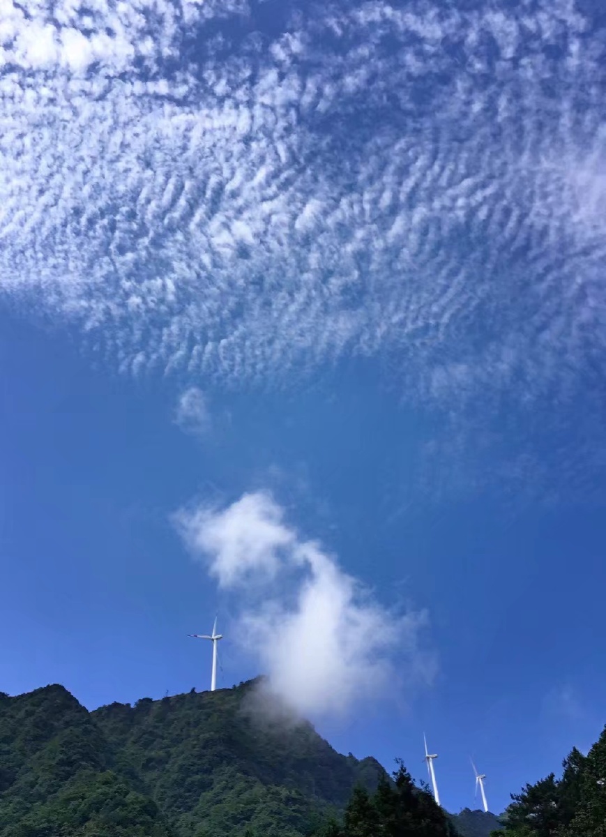 万盛奥陶纪公园下,抬眼忘望见薄云漂渺于山顶