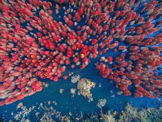 DJI_0002a