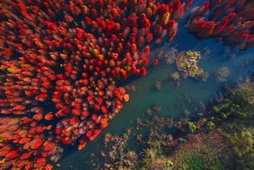 DJI_0021a