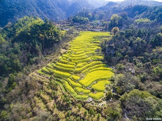 DJI_0115