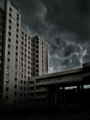 241972