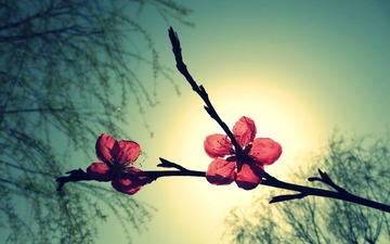 IMG_7127.JPG