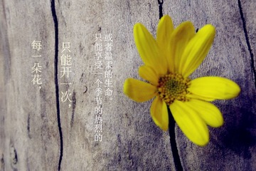 生命.jpg