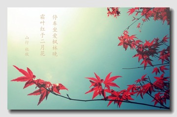 百花齐放 (24).jpg