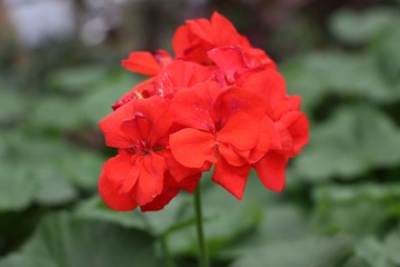 IMG_0366.JPG