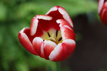IMG_0372.JPG