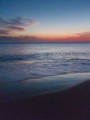 IMG_3783.jpg
