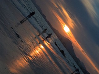 IMG_3904.jpg