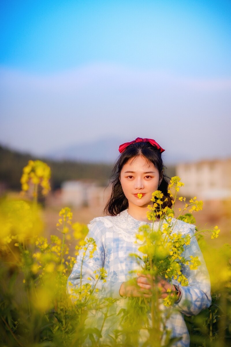 油菜花的照片女孩图片