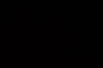 IMGP0013.jpg
