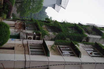 IMGP0223.JPG