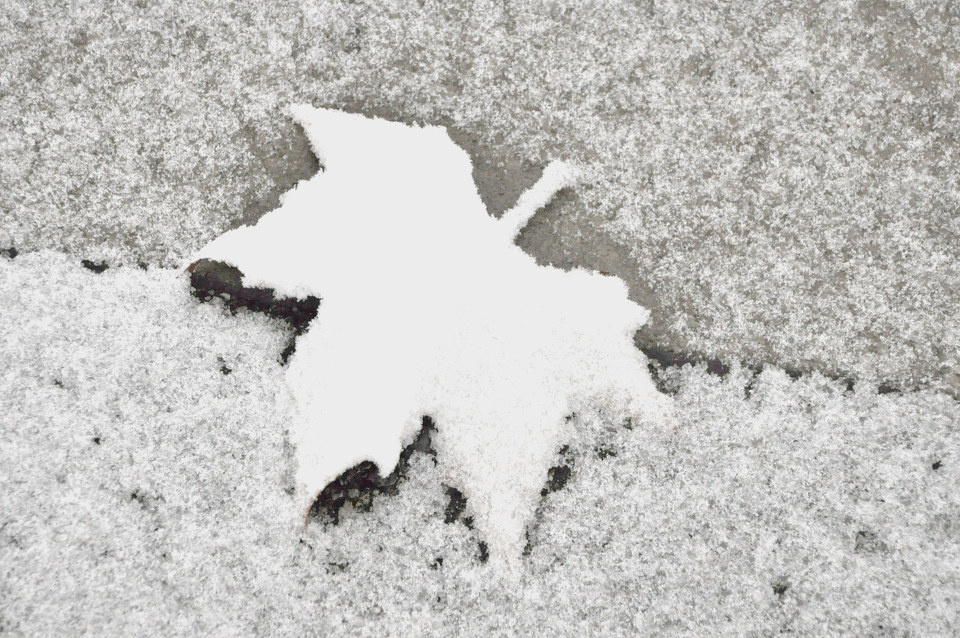 你准备好过冬了吗?