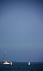 那片海