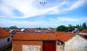IMGP2309.jpg