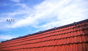 IMGP2315.jpg
