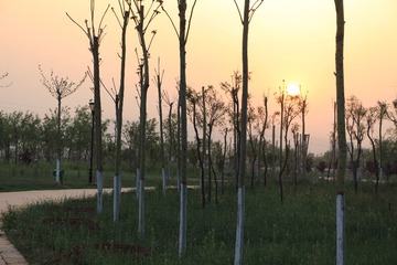 IMG_1206.JPG