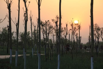 IMG_1208.JPG