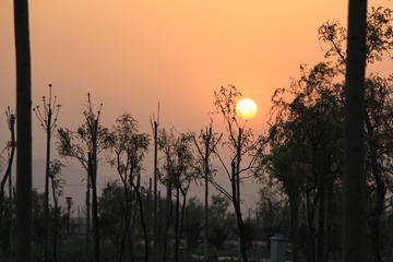 IMG_1220.JPG