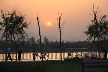 IMG_1227.JPG
