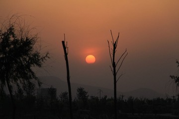 IMG_1230.JPG