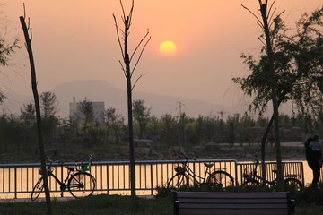 IMG_1232.JPG