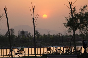 IMG_1233.JPG
