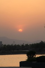 IMG_1239.JPG