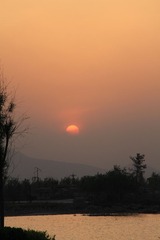 IMG_1241.JPG