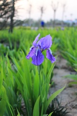 IMG_1249.JPG