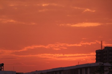 IMG_1637.JPG