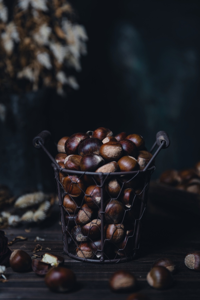 栗子2 - dreamer王小羊 - 图虫网 - 优质摄影师交流社区